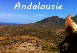 randonnee a cheval andalousie