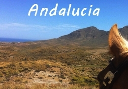 horseback riding in Andalucia