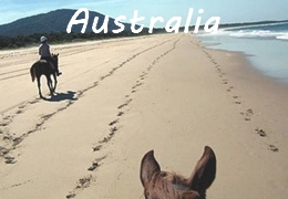 Horseback Trail rides in Australia