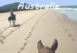 Randonnées à cheval en Australie