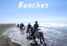 horse rides on beach