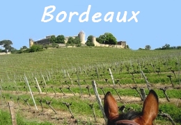 France wine horseback ride