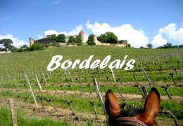 randonnée à cheval Bordeaux