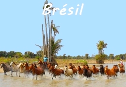 randonnée à cheval au Brésil