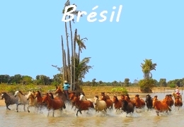 randonnée à cheval au Brésil