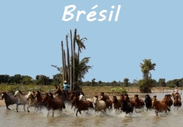 Randonnées à cheval au Brésil