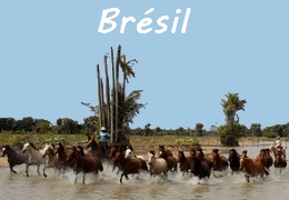 Rando à cheval au Brésil