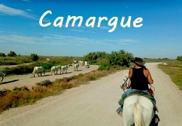 rando cheval provence camargue