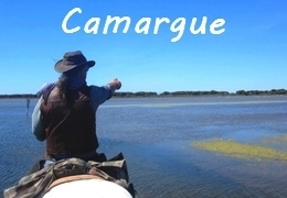 rando à cheval Provence Camargue