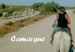randonnee a cheval en camargue