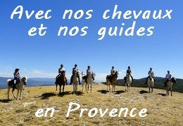 rando à cheval en Provence