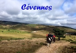 Randonnées à cheval dans les Cevennes et la Lozere