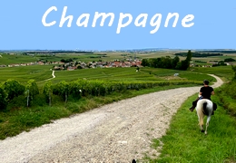 Horseback trail ride in Champagne