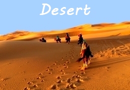 Desert horse rding