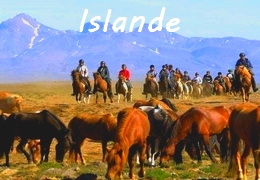 rando à cheval en Islande