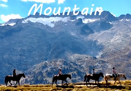 mountain horseback trail ride