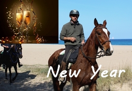 new year and christmas horseback riding