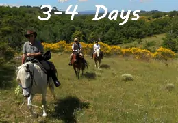 horse riding tour in Provence