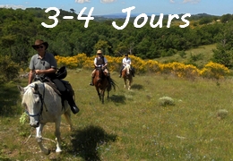 Provence à cheval