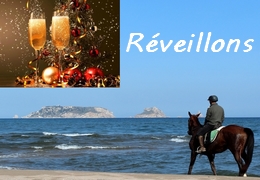 stage de dressage equitation