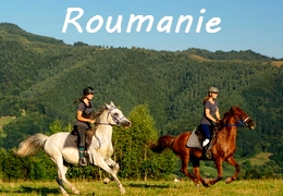 rando cheval en Roumanie
