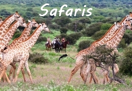 Safari à cheval en Afrique du Sud - Botwana - Kenya