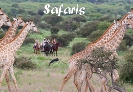 Safari à cheval en Afrique du Sud - Botwana - Kenya