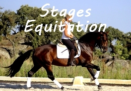 stage equitation