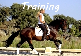 horse training Portugal and Spain