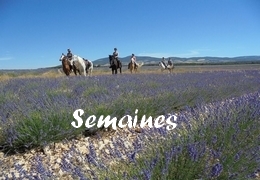 semaine a cheval en provence