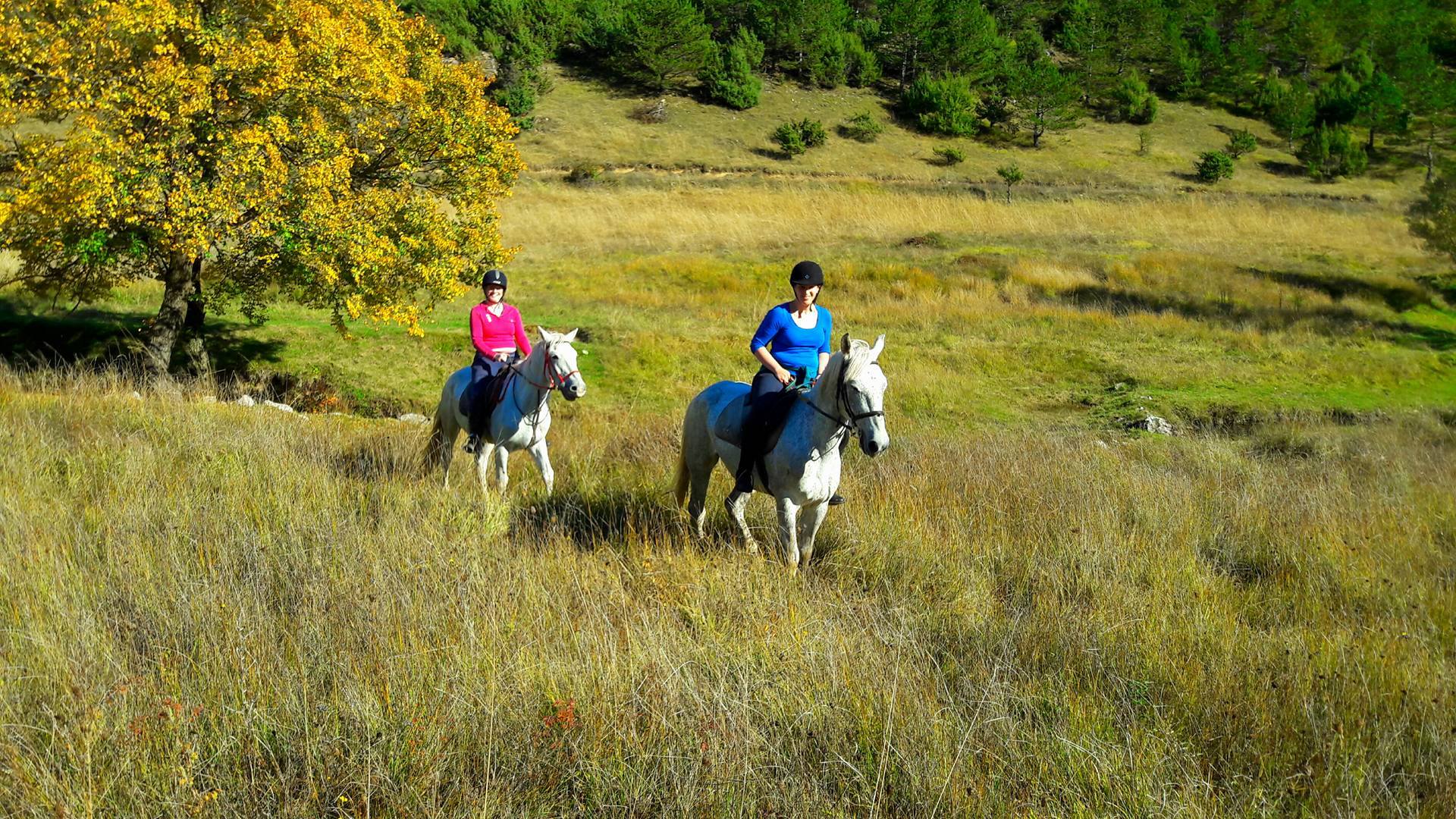 Image Croatie: Les collines de Dalmatie à cheval