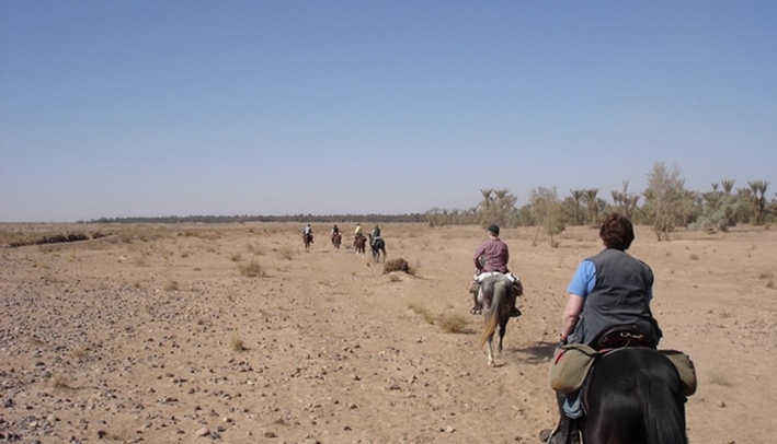Image Le Désert Marocain à cheval