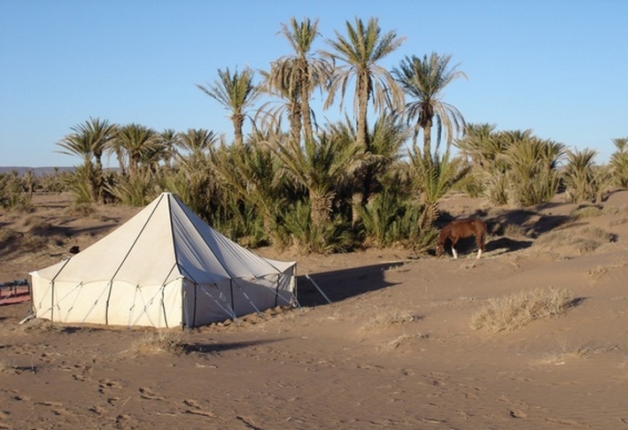 Image Le Désert Marocain à cheval