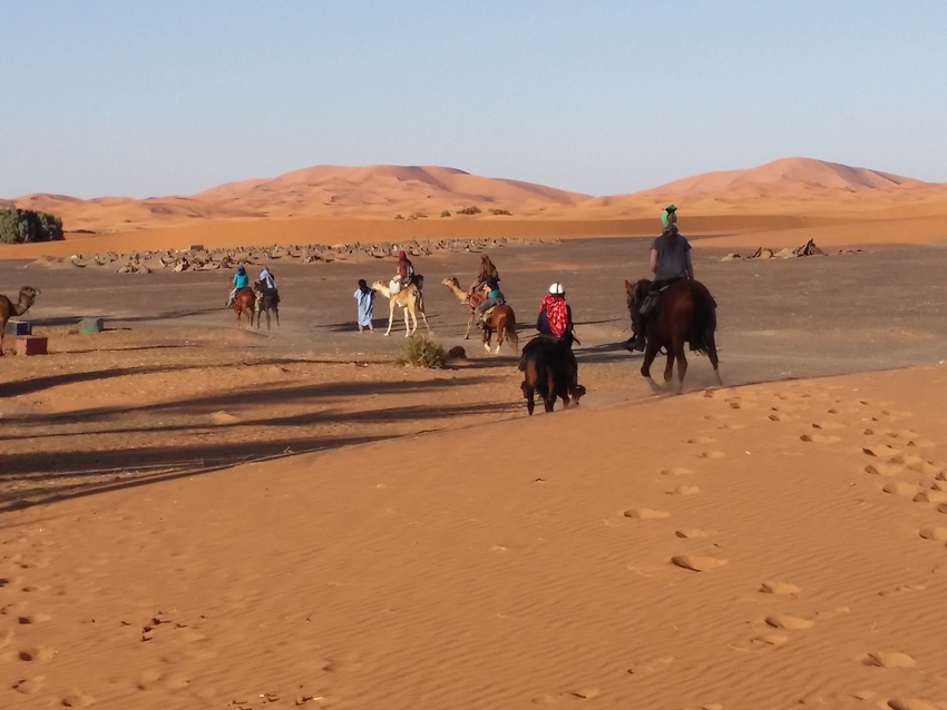 rando a cheval maroc