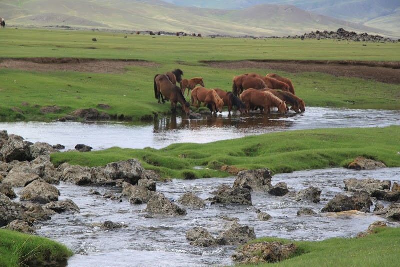 rando à cheval Mongolie