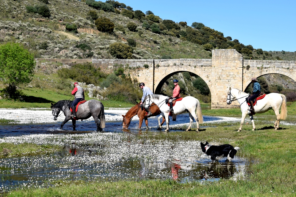 Image Espagne: Randonnée à cheval en étoile en Extremadure