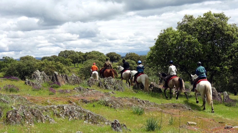 Image Espagne: Randonnée à cheval en étoile en Extremadure