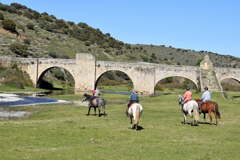 Image Espagne: Randonnée à cheval en étoile en Extremadure