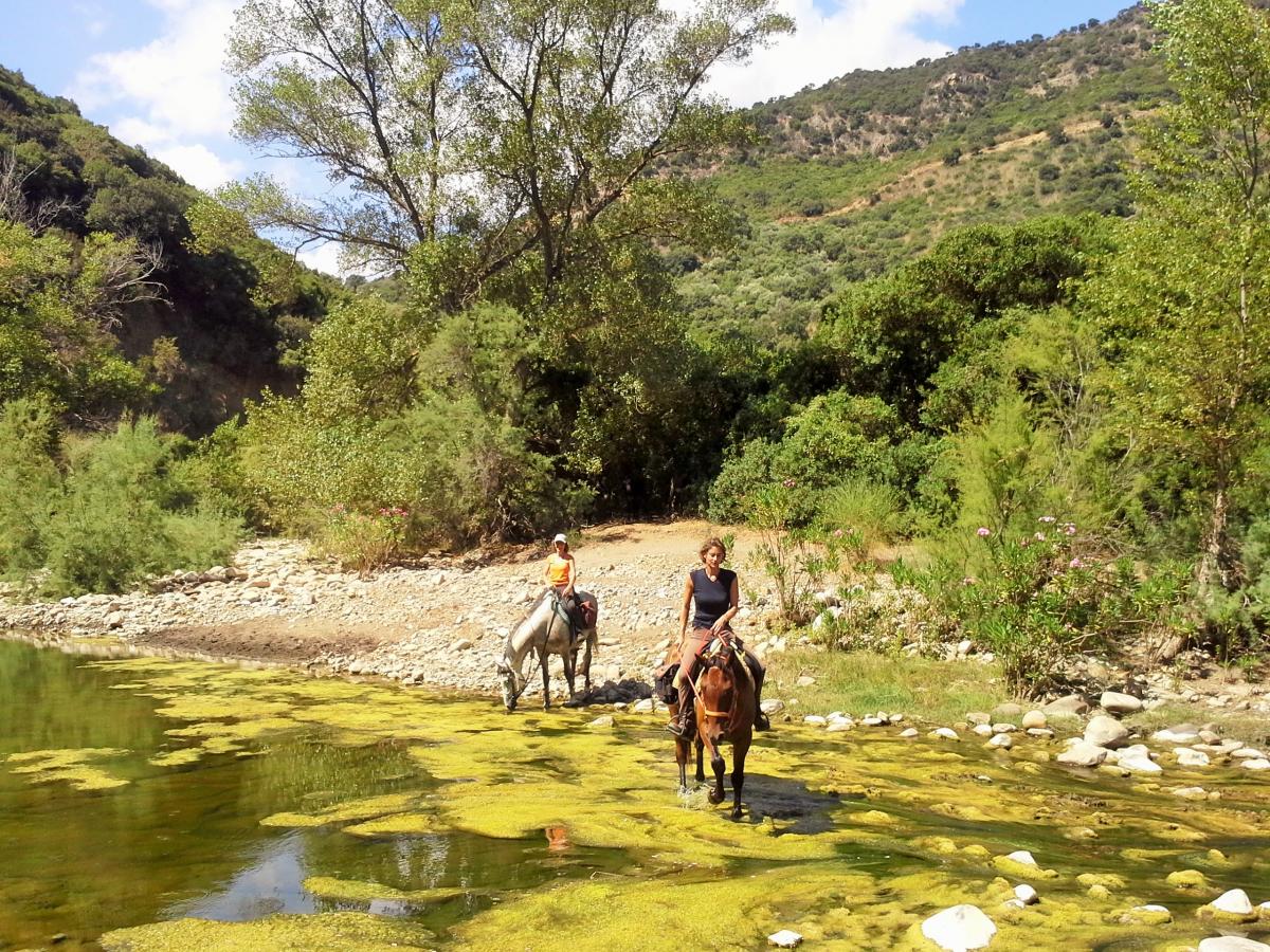 rando a cheval Sicile