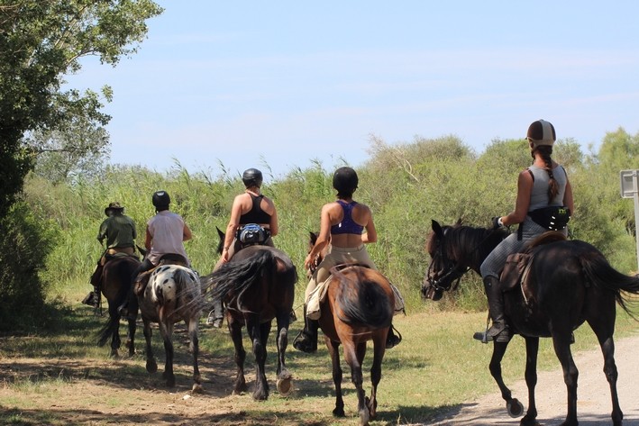 deux jours à cheval en Camargue