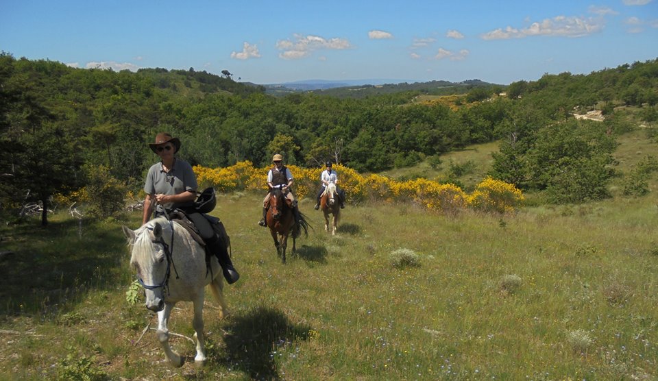 rando cheval provence