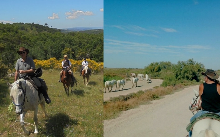 provence a cheval