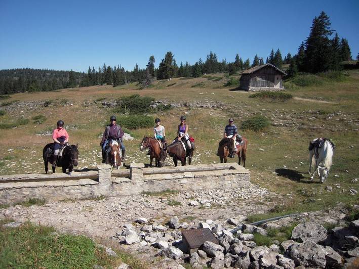 Image Echappée en  rando à cheval sur le plateau du Vercors