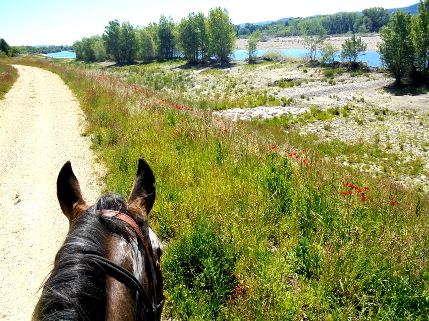 Image Découverte du Luberon et de la Camargue à cheval