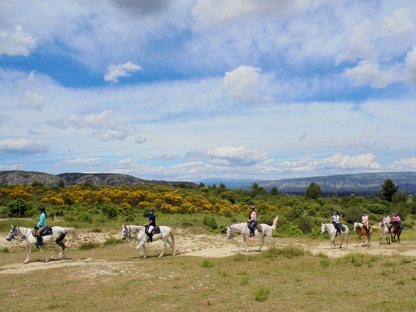 Image Découverte du Luberon et de la Camargue à cheval