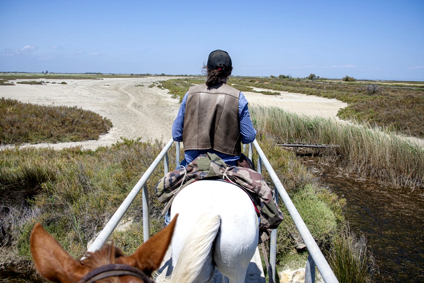 Image Découverte du Luberon et de la Camargue à cheval