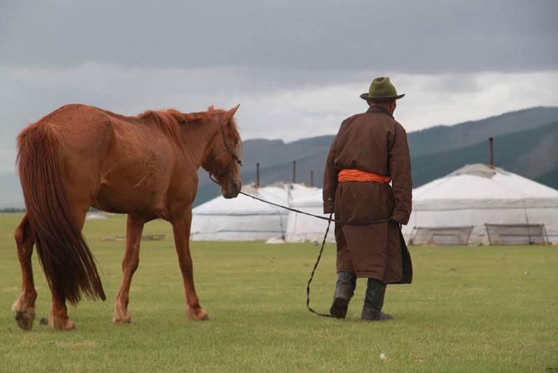 Image Randonnée à cheval & transhumance nomade en Mongolie