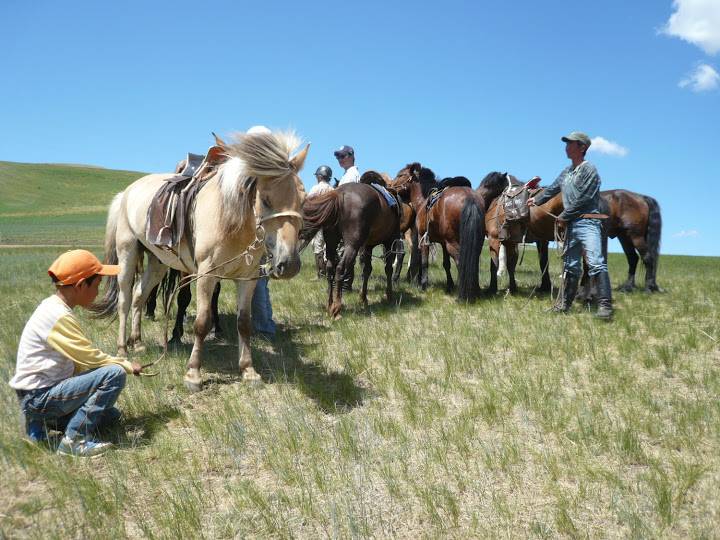 Image Randonnée à cheval & transhumance nomade en Mongolie