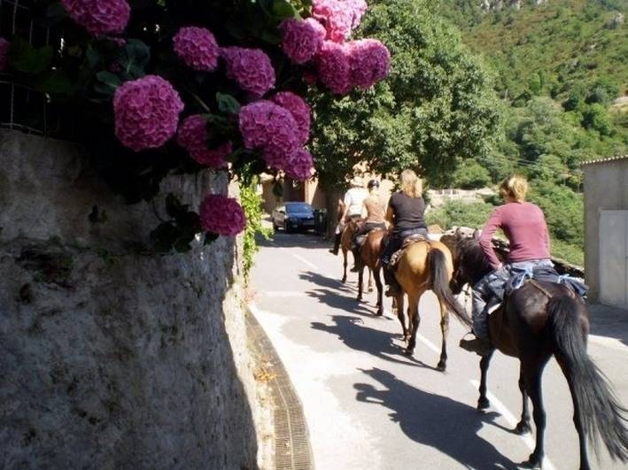 Image Invitation à la randonnée à cheval en Corse