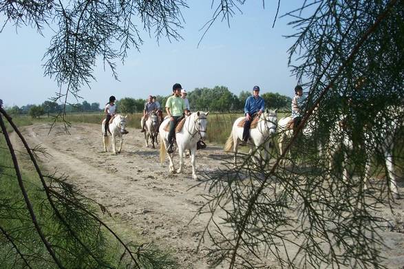 sejour a cheval camargue